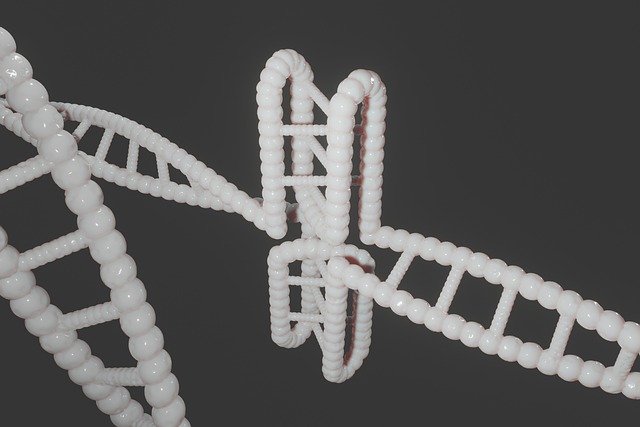 analiza budżetu domowego polska 2026 wykresy i aplikacje mobilne